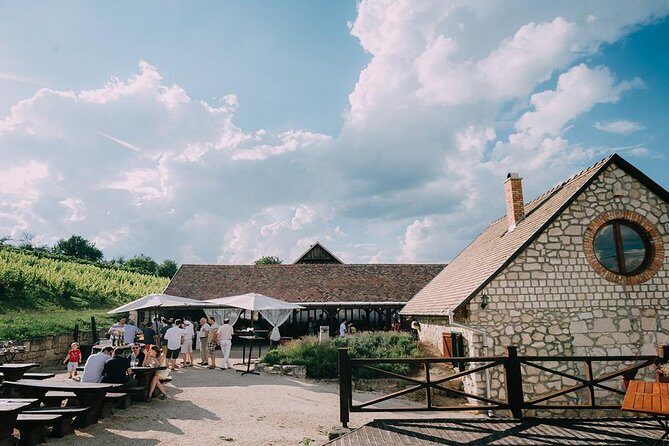 Private Etyek Wine tour with dinner including a Budapest Danube Evening Cruise - Private transportation and guide: what you gain