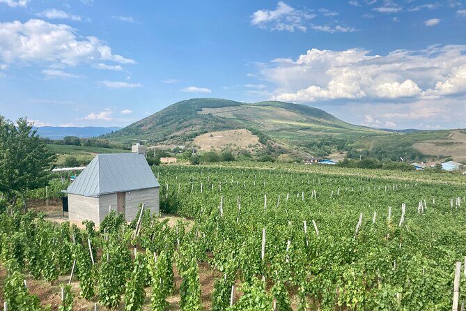 Private Full Day Tour to Eger - History, Culture and Wine - Who This Tour Fits Best (and Who Should Skip It)
