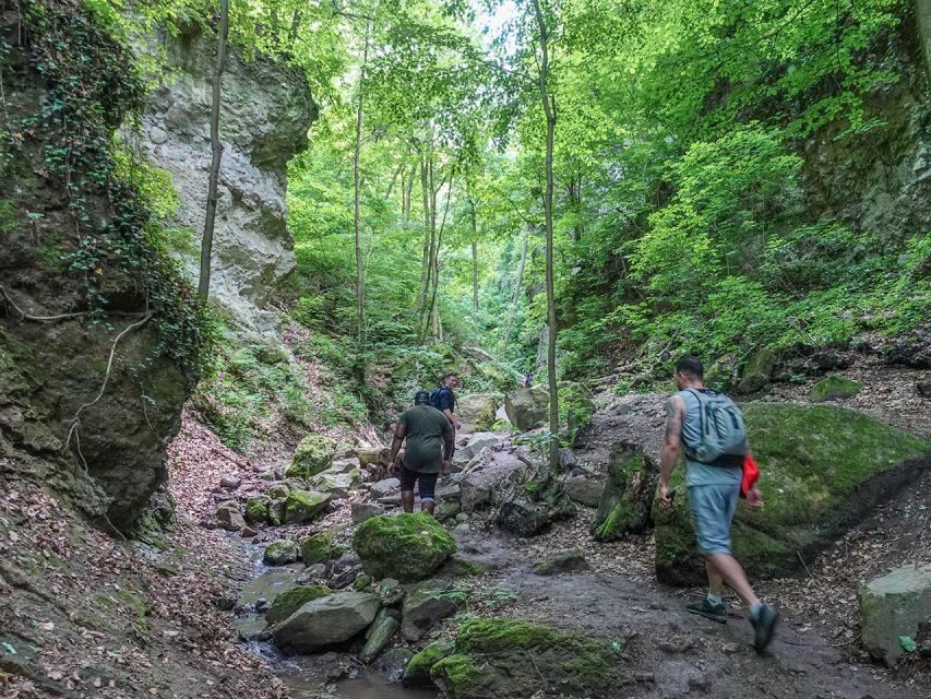Ram Gorge Hiking Adventure - Key Highlights You’ll Feel on the Trail