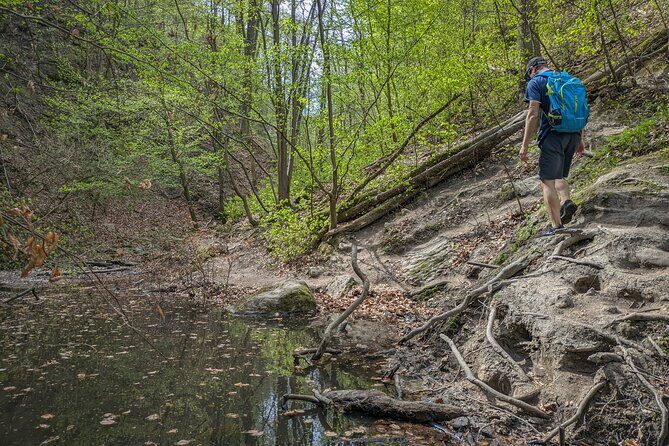Ram Gorge Hiking Adventure Natures Playground Near Budapest - Weather and Season Reality: When the Gorge Changes