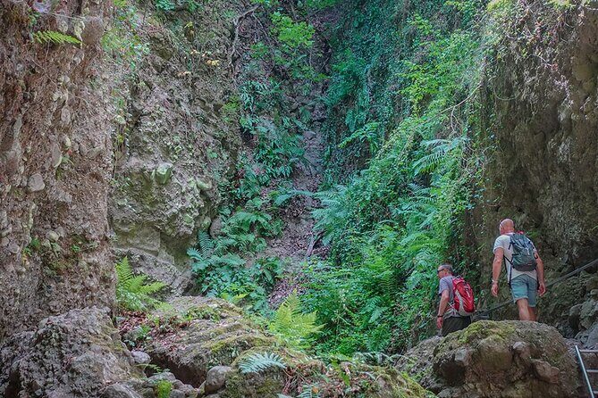 Ram Gorge Hiking Adventure Natures Playground Near Budapest - What the Trail Asks of You: 8 km, 300 m Gain, and Balance on Uneven Ground