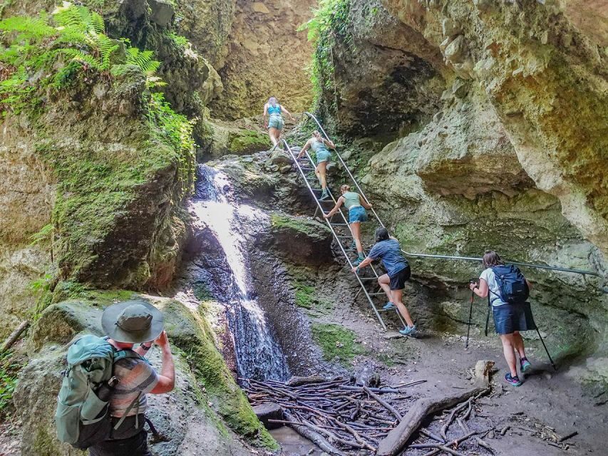Ram Gorge Hiking Adventure - Budapest Pickup and the 1-Hour Van Ride to Dömös