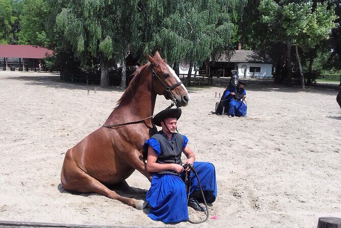 The "Puszta" Horse Show - Key Things You’ll Notice on This Puszta Day Trip