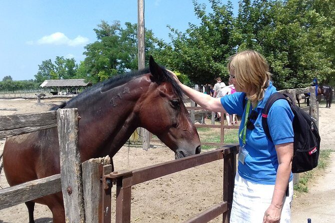 The "Puszta" Horse Show - Group size, language, and guide style: why it feels manageable