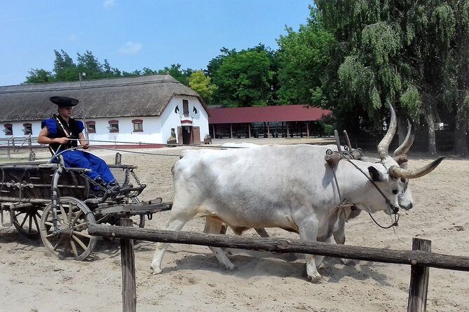The "Puszta" Horse Show - Price check: does $134.63 make sense for an 8-hour day?