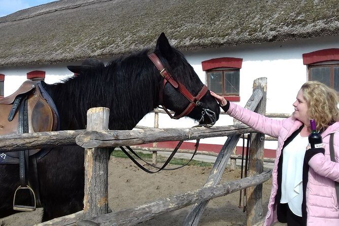 The "Puszta" Horse Show - Meeting Point and timing: start at EUrama, return to EUrama