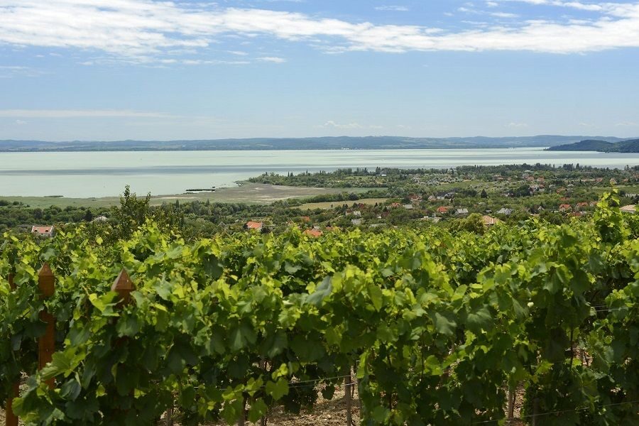 The Turquoise Sea of Hungary: Lake Balaton Private Tour - The first lake panorama spot: why starting here pays off