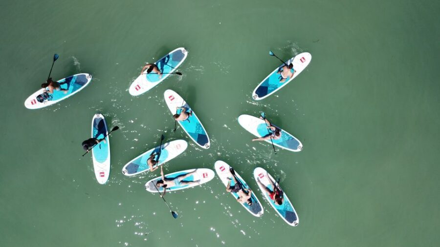 Tihany: SUP Course and Tour at Lake Balaton - Equipment Sizing: How to Choose the Right Board and Paddle