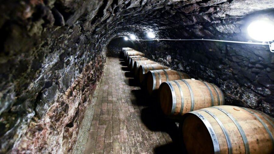 Tokaj: Classic Wine Tasting - Price and value: what $26 gets you in Tokaj