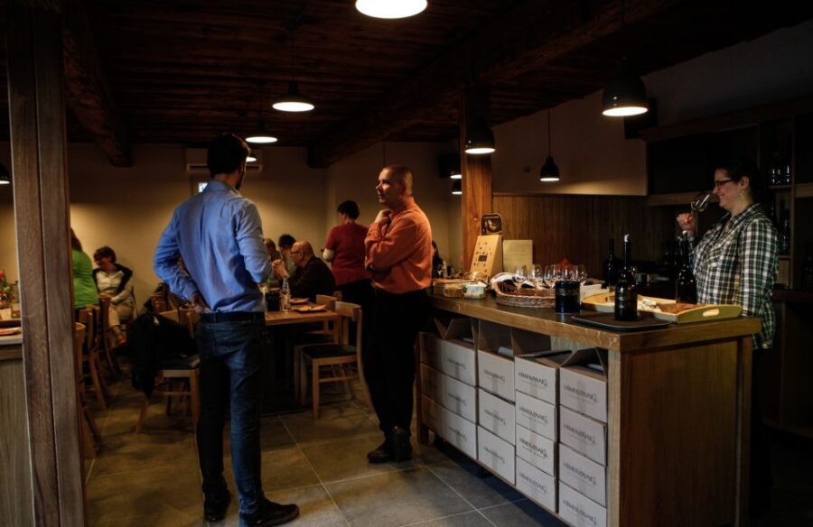 Tokaj: Vineyard Tour & Tasting - Why Tokaj Feels Different: The Wine Region in One Tasting