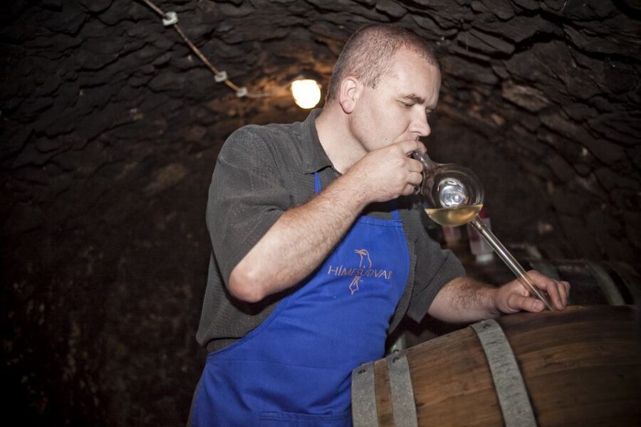 Tokaj: Vineyard Tour & Tasting - The Vineyard Walk at the Edge of Tokaj City
