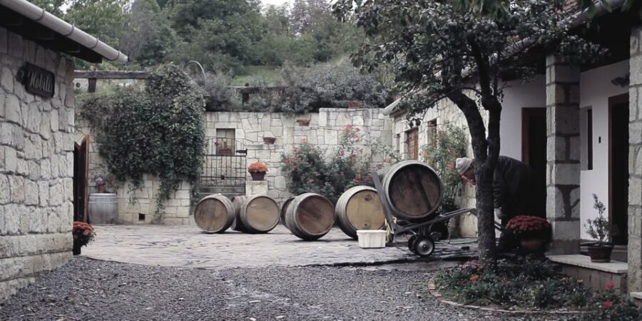 Wine taste in Tokaj Private Day Tour from Budapest - Rákóczi pince and Tokaj’s oldest street: where the wine world used to run
