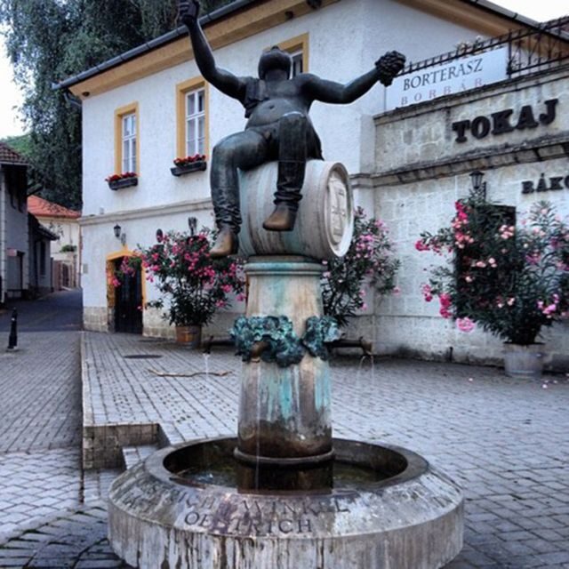 Wine taste in Tokaj Private Day Tour from Budapest - Hercegkut winecallars: the hobbit-house effect