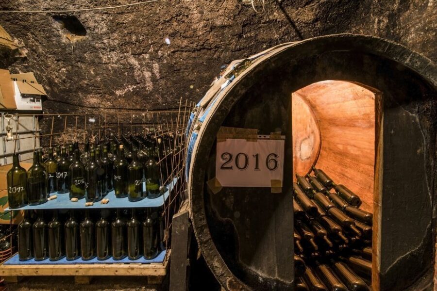 Wine taste in Tokaj Private Day Tour from Budapest - Lunch planning: the one thing you’ll need to handle