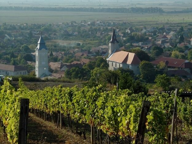 Wine taste in Tokaj Private Day Tour from Budapest - UNESCO Tokaj wine context: why this region gets serious attention