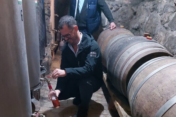 Wine Tasting in the Countryside from Budapest - Key highlights you’ll care about