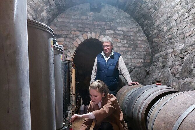 Wine Tasting in the Countryside from Budapest - The food pairing: more than snacks, less than a banquet