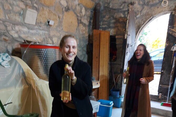 Wine Tasting in the Countryside from Budapest - Price and value: why $90 for 3 hours can make sense